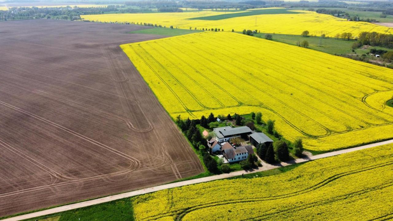 Ein Bett Im Kornfeld - Haus Morgensonne - Mit Innenpool Schonfeld  Dış mekan fotoğraf