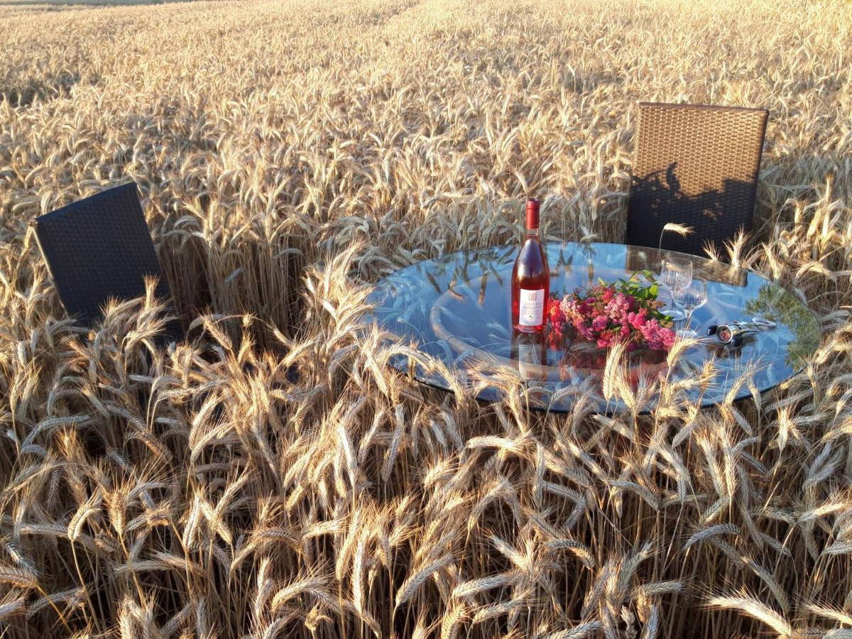 Ein Bett Im Kornfeld - Haus Morgensonne - Mit Innenpool Schonfeld  Dış mekan fotoğraf