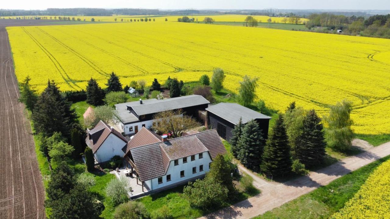 Ein Bett Im Kornfeld - Haus Morgensonne - Mit Innenpool Schonfeld  Dış mekan fotoğraf